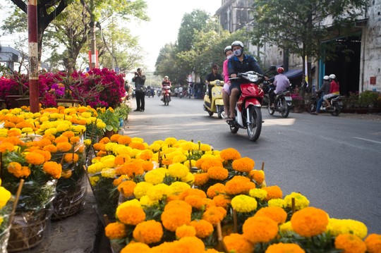 Đi bến Bình Đông rinh Tết về nhà